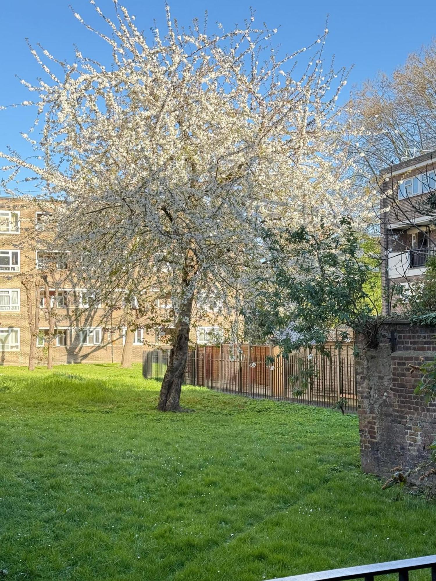 Shoreditch Apartments By Dc London Rooms Rom bilde